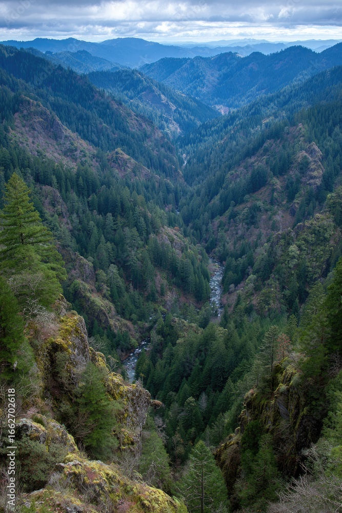 Fototapeta premium Mountain valley with river, forest, and cliffs