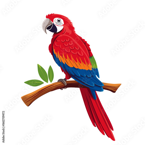 Macaw parrot sitting on a branch vector illustration. Exotic red blue bird on isolated background	