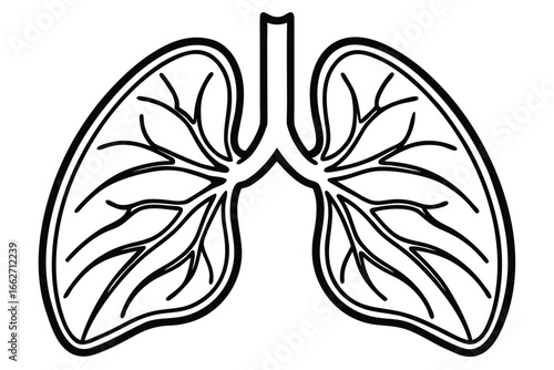 Anatomical Lungs Outline, Black Line Art, Detailed Veins, White Background
