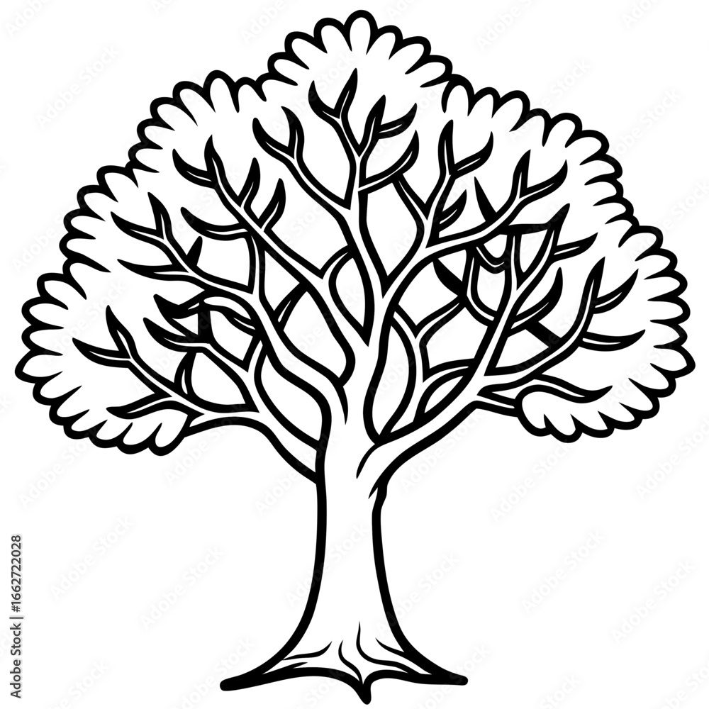 Fototapeta premium Portia Tree line art vector