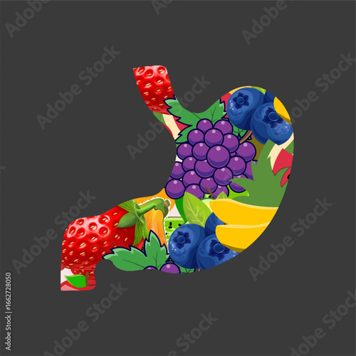 stomach made of fruits healthy food fibre rich diet gut health concept.eps