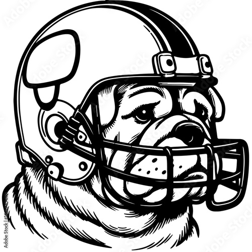 Black and white bulldog wearing American football helmet animal
