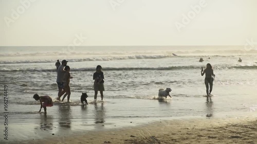 people on the beach