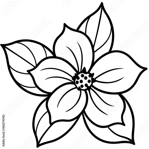 Dogwood line art vector