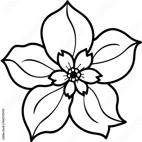 Dogwood line art vector