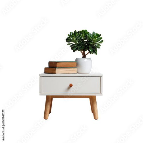 Modern White Nightstand with Succulent Plant and Books