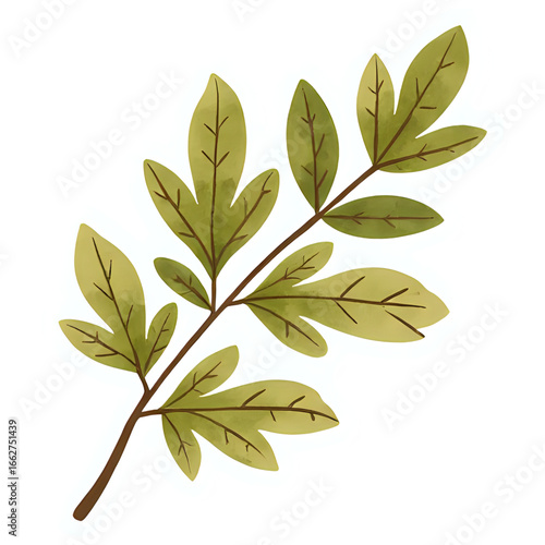 Copy of 