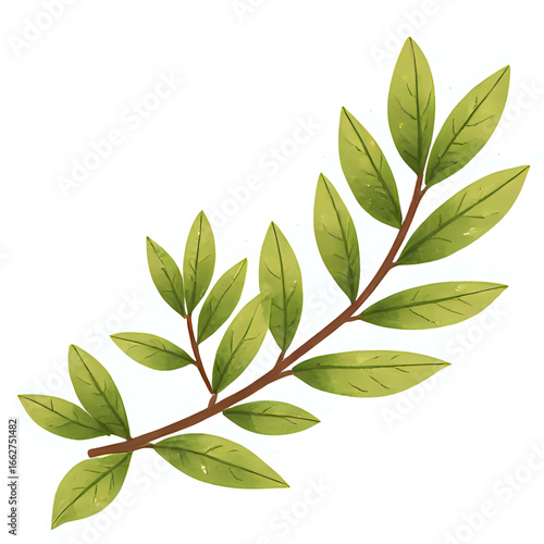 Copy of 