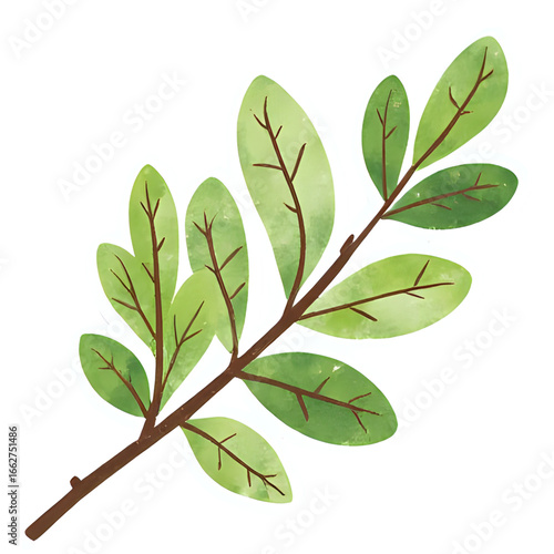 Copy of 