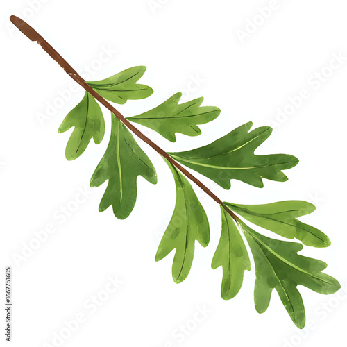 Copy of 