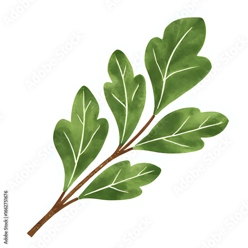 Copy of 