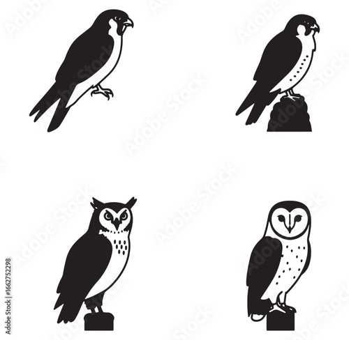 Vector illustrations of birds of prey including owls and peregrine falcons in silhouette