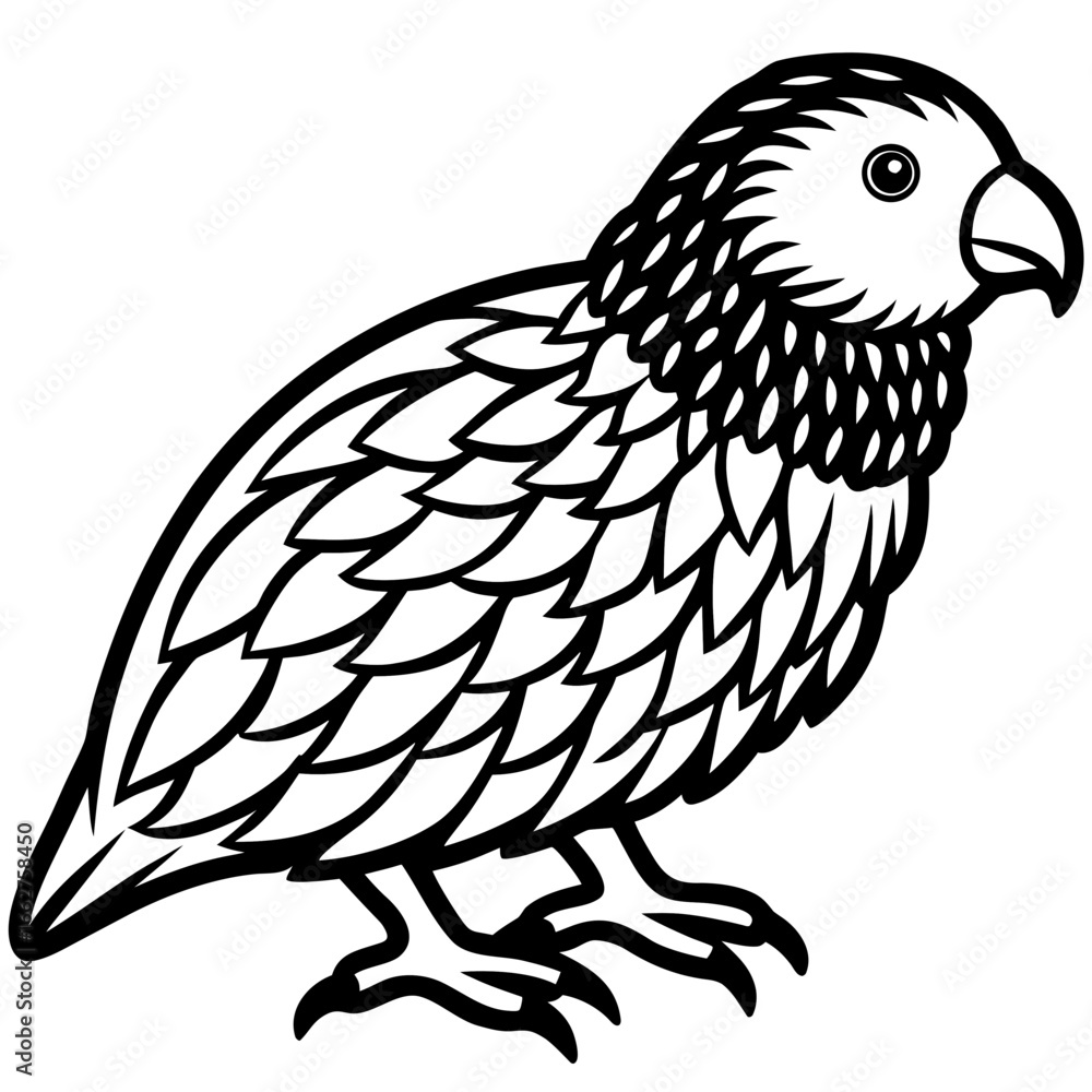 Fototapeta premium Kakapo line art vector