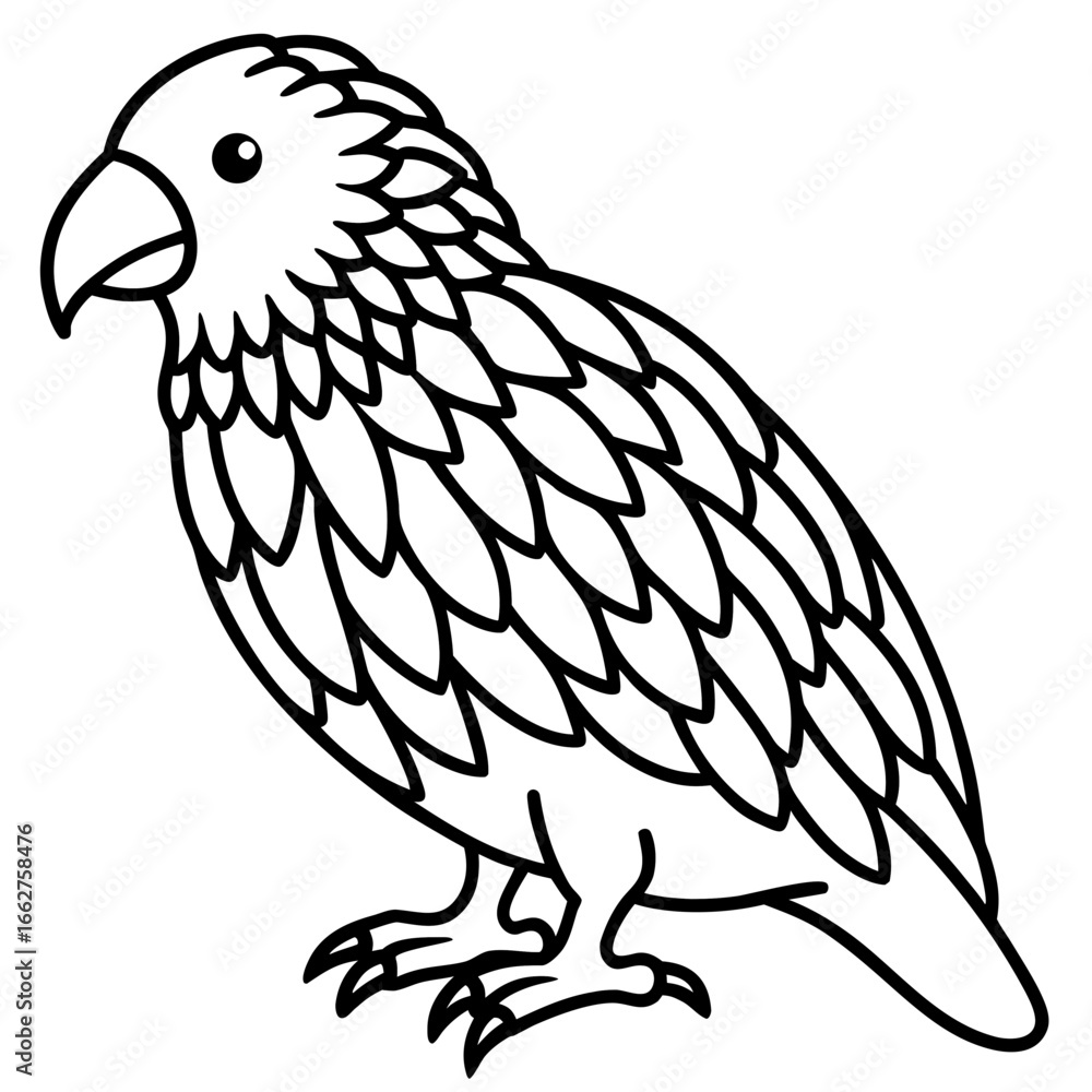 Fototapeta premium Kakapo line art vector