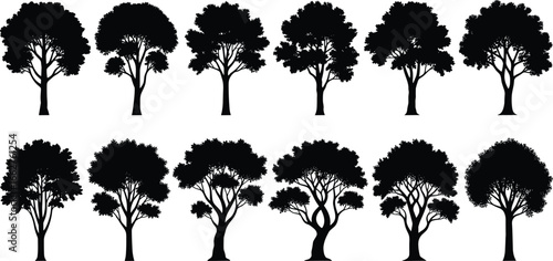 Silhouette tree vector collection, natural forest illustration, black tree shapes with detailed branches and foliage, editable botanical design elements for nature projects