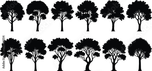 Tree silhouette vector set, collection of deciduous trees, nature illustration, forest design, black and white icons, botanical shapes, landscape elements