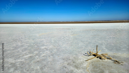 Fototapeta Naklejka Na Ścianę i Meble -  Lake Eyre dry salt flat landscape with driftwood under a clear blue sky