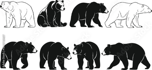 Wild bear silhouette collection, polar bear and grizzly bear illustrations, black and white bear drawings, wildlife animal vector art for design, print, decoration