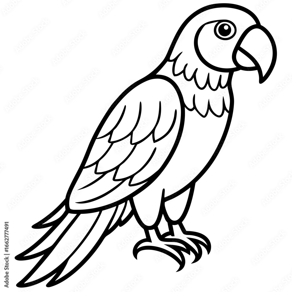 parrot line art vector parrot line art vector
