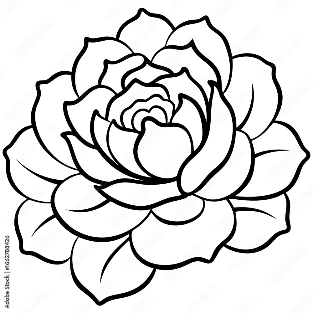 Obraz premium Peony art vector