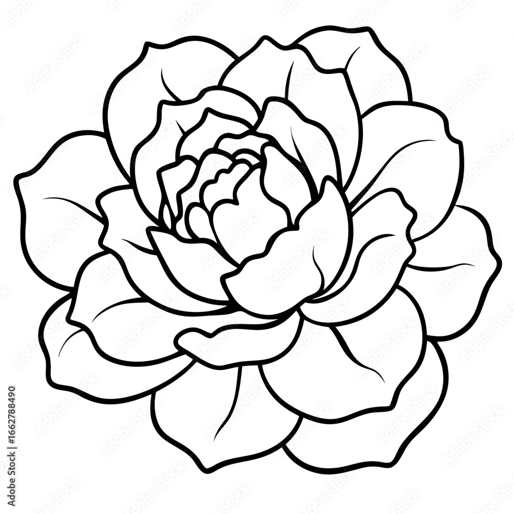 Obraz premium Peony art vector