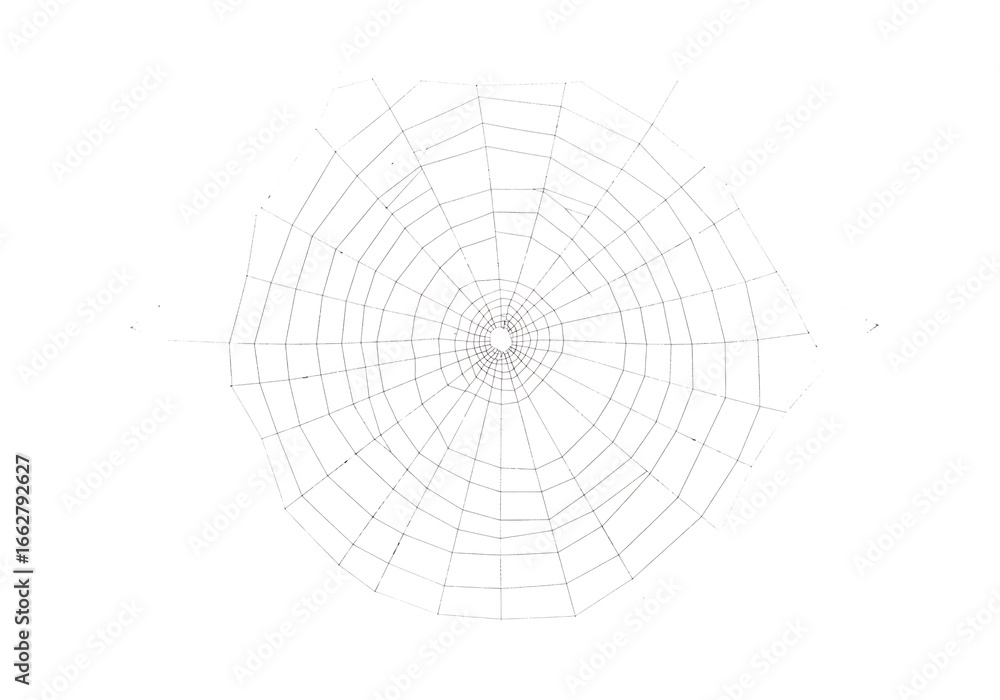 Obraz premium Circular spiderweb pattern isolated on transparent background