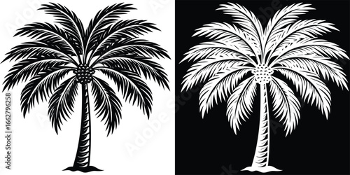 Iconic palm tree silhouette captures tropical paradise vibes, perfect for summer marketing and travel promotions.