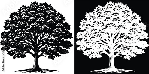 Stunning silhouette of a mature oak tree with intricate branches and lush foliage, displayed in both black and white versions for versatile design use.