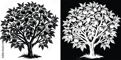 Vibrant fruit tree laden with ripe apples, presented in a striking silhouette against contrasting backgrounds for artistic appeal.