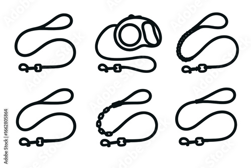 Various types of dog leashes displayed for pet owners to choose from at a local pet supply store