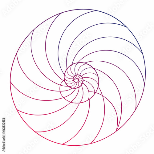 Abstract geometric nautilus shell spiral pattern with a gradient of purple to pink on white background