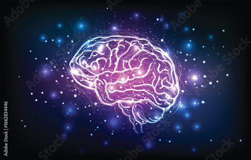 Colorful Digital Human Brain with Neuron and Synapse