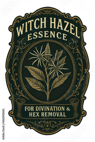 vintage apothecary potion label illustration of witch hazel plant with flowers ornate black and gold engraved frame antique botanical essence fantasy design concept of halloween crafts