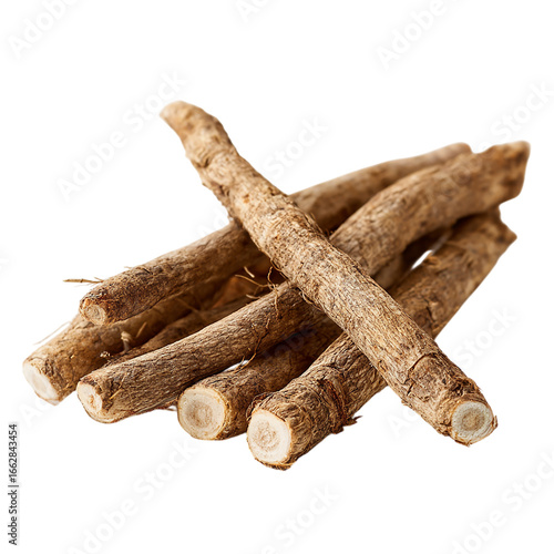 Burdock root or kobo on transparent background