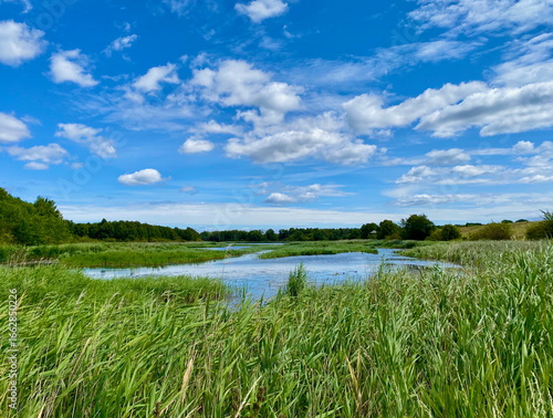 Wetland landscape in Kalvebod Fælled, Naturpark Amager, Denmark