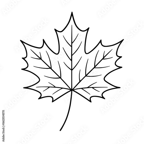 maple leaf vector