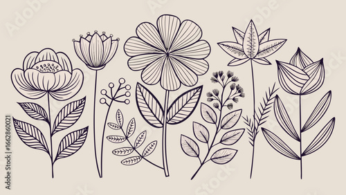 Vector art of elegant floral line art featuring various flowers and leaves in a botanical style for backgrounds, designs, and decorative purposes
