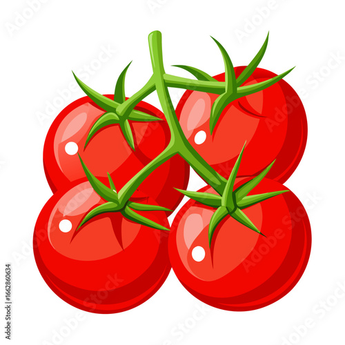 tomatoes on a branch
