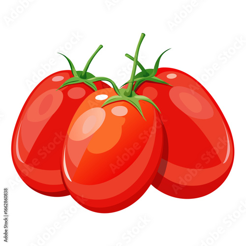 tomato vector illustration