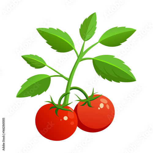 tomato with leaves