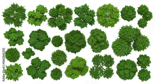 top view trees showcasing diverse tree canopies and foliage textures ideal for landscape designs and urban planning illustrations conveying greenery and nature