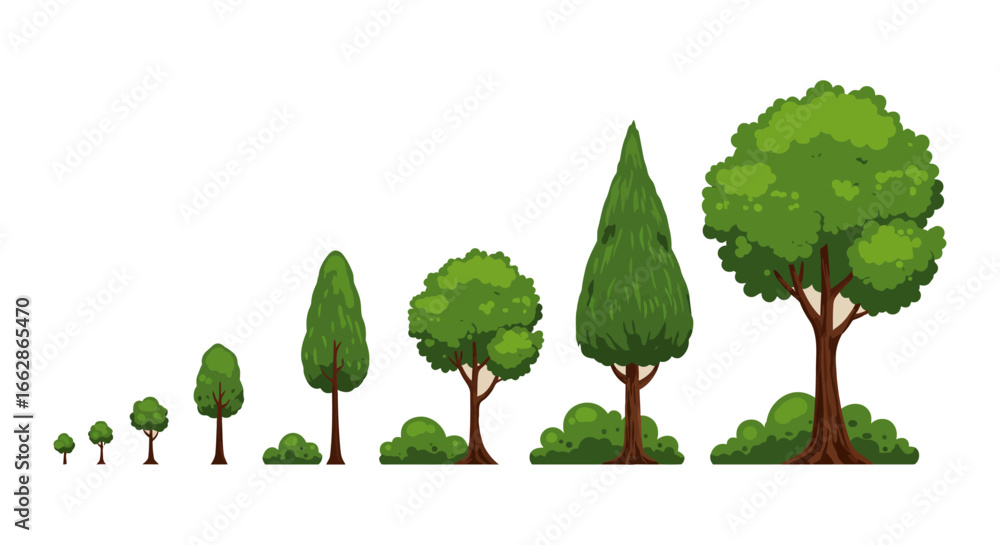 Fototapeta premium tree growth stages showing the progression from seedling to mature tree with lush green foliage perfect for illustrating natural development or ecological change visually charting plant life cycle