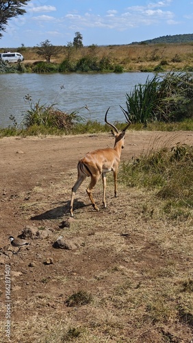 Nairobi National Park, Nairobi, Kenya