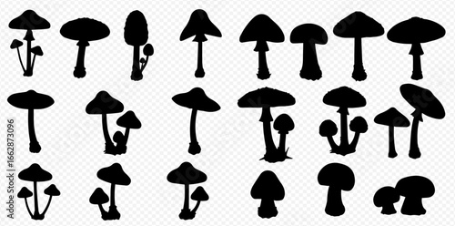 A diverse collection of black mushroom and fungi silhouettes in various shapes and sizes on a transparent background.
