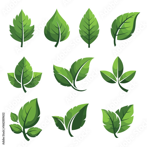 Set of Green Leaves Icons, Vector Illustrations of Plant Elements for Nature and Ecology Concepts