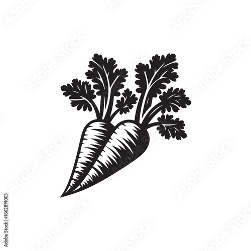 Persnip Vector (3).eps