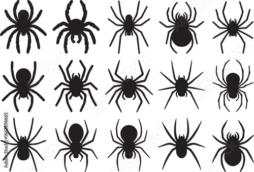 Creepy Crawly Spiders Collection Halloween Silhouettes Dangerous Insects
