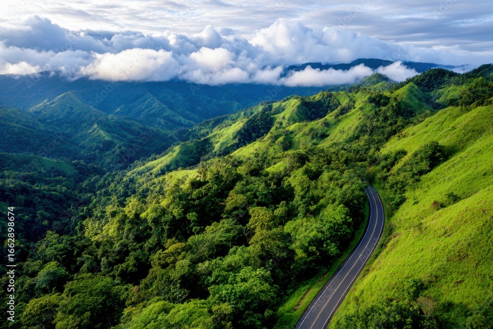 Fototapeta premium Scenic road through lush mountains on a clear day