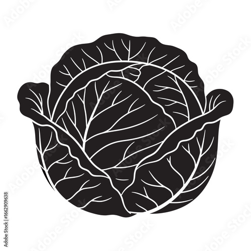 black and white silhouette of vector cabbage on a white background