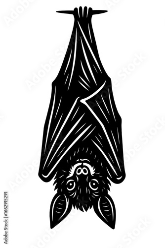 A distinctive black and white illustration of a bat hanging upside down, with its wings folded and a curious expression.